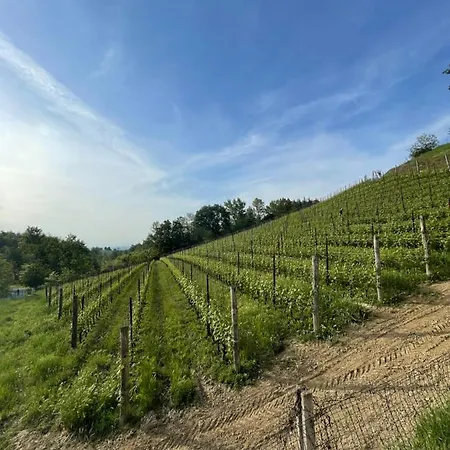 Bed & Breakfast Al Laghetto La Morra