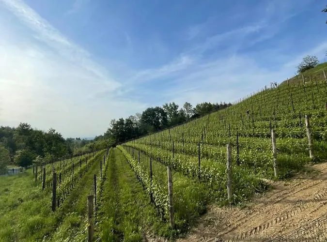 Oda ve Kahvaltı Al Laghetto La Morra